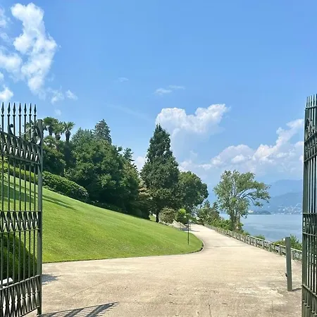 Magia Del *